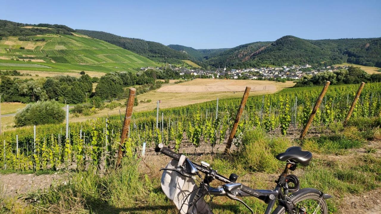Ferienwohnung Im Moseltal Veldenz Exterior foto